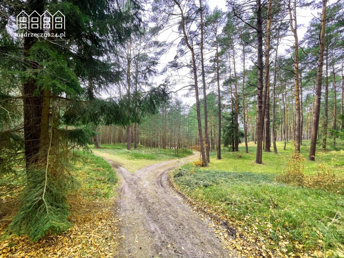 Apartamenty Nadrzeczna24 トルクミツコ エクステリア 写真